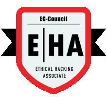 Ethical Hacking Training in Abu Dhabi
