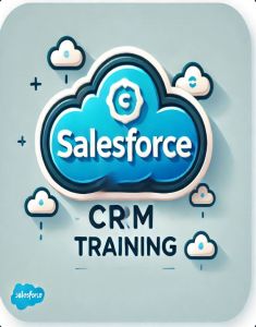 SalesForce Training in Ajman