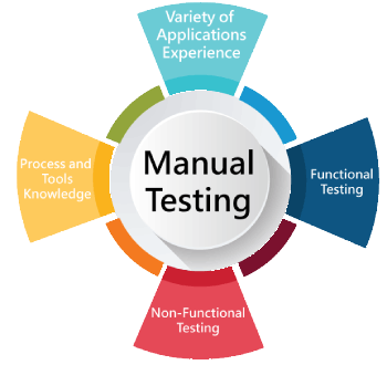Software Testing (Manual) Training in Fujairah