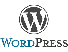 Wordpress Training in Dubai